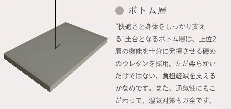 LIMNEボトム層